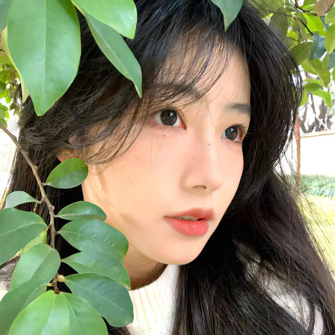 婆娑罗